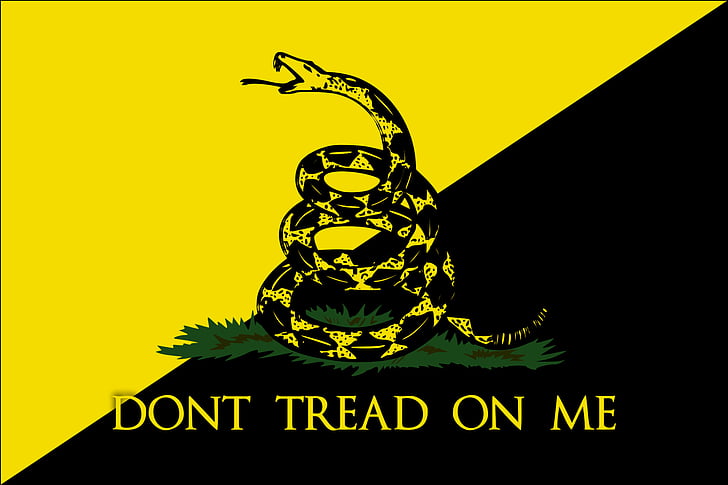 dont_tread_on_me_libertarians_flag flat flag